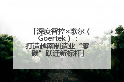 深度智控×歌尔（Goertek）：打造越南制造业“零碳”跃迁新标杆