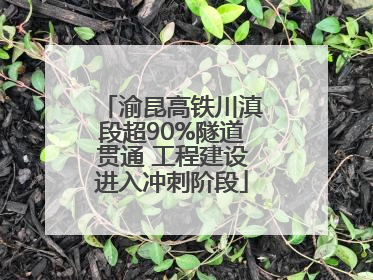 渝昆高铁川滇段超90%隧道贯通 工程建设进入冲刺阶段