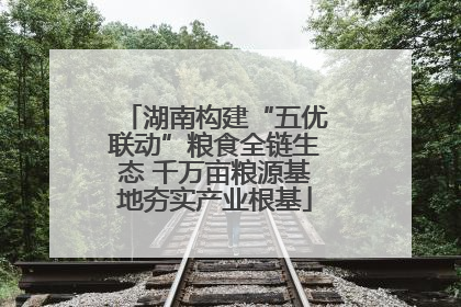 湖南构建“五优联动”粮食全链生态 千万亩粮源基地夯实产业根基