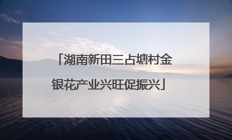 湖南新田三占塘村金银花产业兴旺促振兴