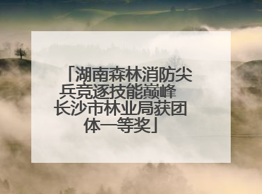 湖南森林消防尖兵竞逐技能巅峰 长沙市林业局获团体一等奖