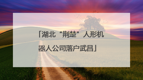 湖北“荆楚”人形机器人公司落户武昌