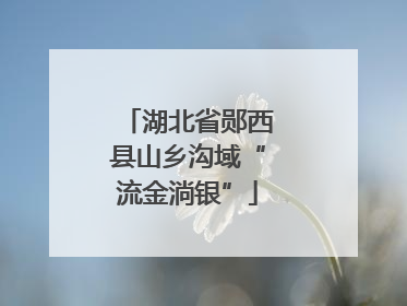 湖北省郧西县山乡沟域“流金淌银”