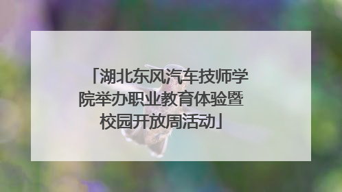湖北东风汽车技师学院举办职业教育体验暨校园开放周活动