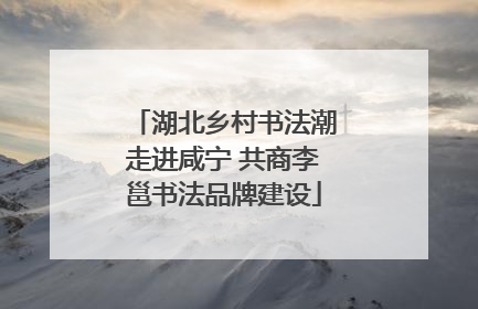 湖北乡村书法潮走进咸宁 共商李邕书法品牌建设