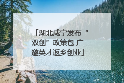 湖北咸宁发布“双创”政策包 广邀英才返乡创业