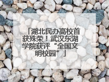 湖北民办高校首获殊荣！武汉东湖学院获评“全国文明校园”