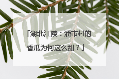 湖北江陵：潘市村的香瓜为何这么甜？