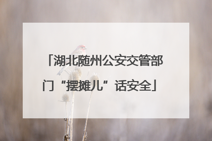 湖北随州公安交管部门“摆摊儿”话安全