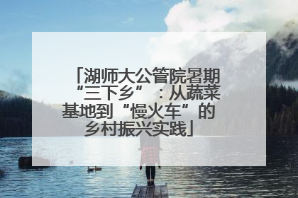 湖师大公管院暑期“三下乡”：从蔬菜基地到“慢火车”的乡村振兴实践