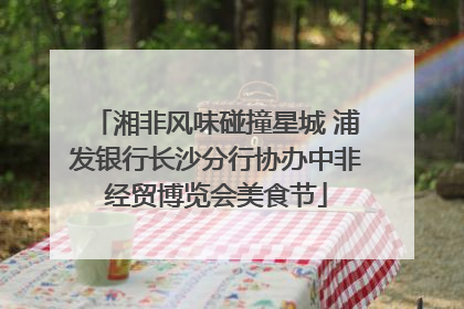 湘非风味碰撞星城 浦发银行长沙分行协办中非经贸博览会美食节