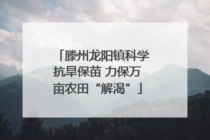 滕州龙阳镇科学抗旱保苗 力保万亩农田“解渴”