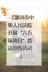 漯河市中级人民法院开展“六五环境日”普法宣传活动