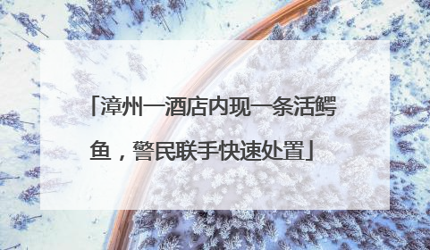 漳州一酒店内现一条活鳄鱼，警民联手快速处置