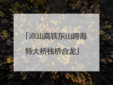漳汕高铁东山跨海特大桥栈桥合龙