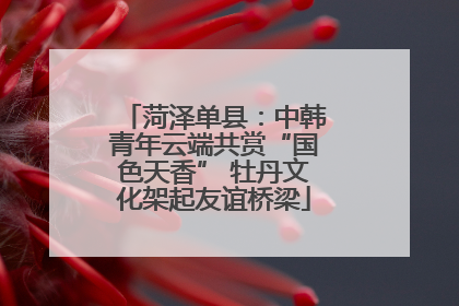菏泽单县：中韩青年云端共赏“国色天香” 牡丹文化架起友谊桥梁