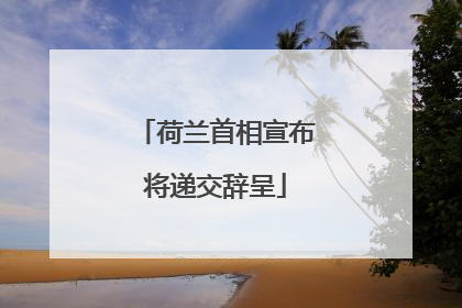 荷兰首相宣布将递交辞呈