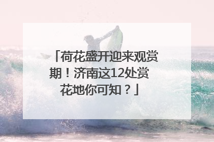 荷花盛开迎来观赏期！济南这12处赏花地你可知？