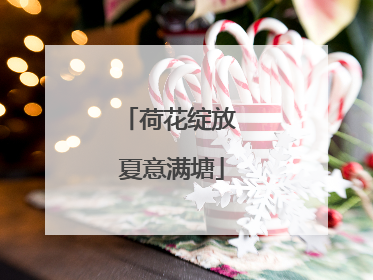 荷花绽放 夏意满塘