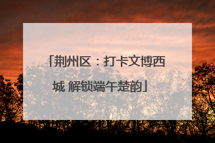 荆州区：打卡文博西城 解锁端午楚韵