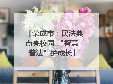 荣成市：民法典点亮校园 “智慧普法”护成长