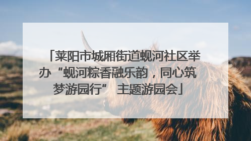 莱阳市城厢街道蚬河社区举办“蚬河粽香融乐韵，同心筑梦游园行” 主题游园会