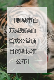 聊城市百万减残脑血管病公益项目资助标准公布