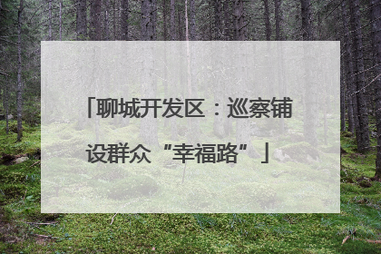 聊城开发区：巡察铺设群众“幸福路”