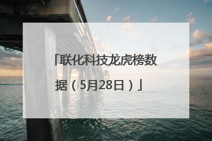 联化科技龙虎榜数据（5月28日）