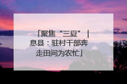 聚焦“三夏”｜息县：驻村干部奔走田间为农忙