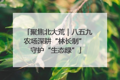 聚焦北大荒｜八五九农场深耕“林长制” 守护“生态绿”
