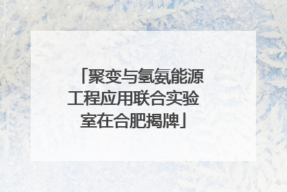 聚变与氢氨能源工程应用联合实验室在合肥揭牌