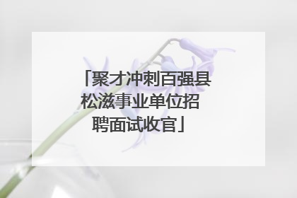 聚才冲刺百强县 松滋事业单位招聘面试收官