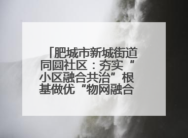 肥城市新城街道同圆社区：夯实“小区融合共治”根基做优“物网融合一家亲”品牌