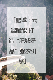 肥城：云端赋能 打造“肥城好品”强农引擎