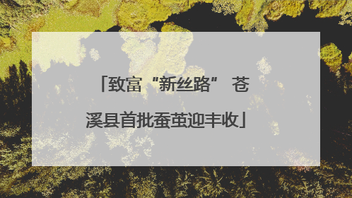 致富“新丝路” 苍溪县首批蚕茧迎丰收