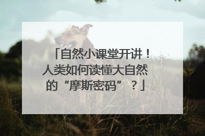 自然小课堂开讲！人类如何读懂大自然的“摩斯密码”？