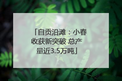 自贡沿滩：小春收获新突破 总产量近3.5万吨