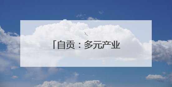 自贡：多元产业“闪耀”西博会