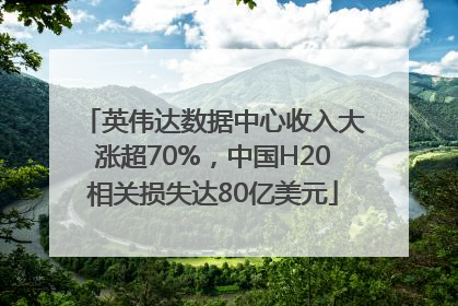 英伟达数据中心收入大涨超70%，中国H20相关损失达80亿美元