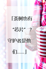 茶树也有“芯片”？守护者是他们……