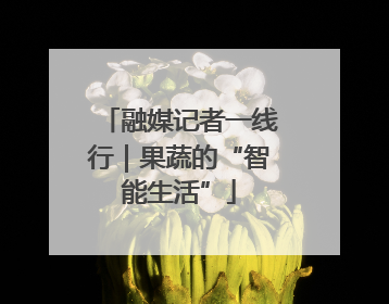 融媒记者一线行｜果蔬的“智能生活”