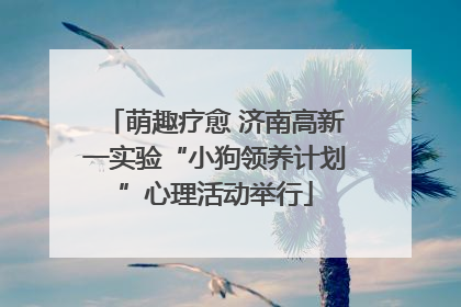 萌趣疗愈 济南高新一实验“小狗领养计划”心理活动举行