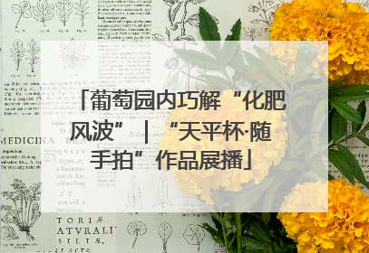 葡萄园内巧解“化肥风波”｜“天平杯·随手拍”作品展播