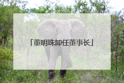 董明珠卸任董事长