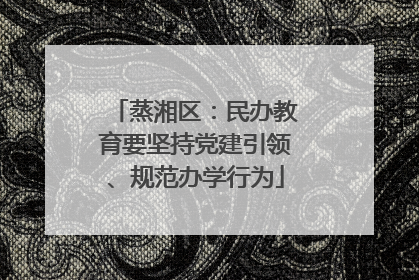 蒸湘区：民办教育要坚持党建引领、规范办学行为