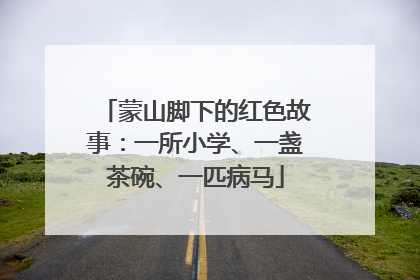 蒙山脚下的红色故事：一所小学、一盏茶碗、一匹病马