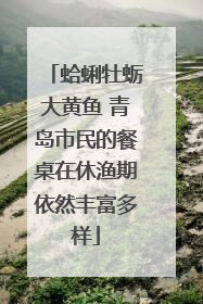 蛤蜊牡蛎大黄鱼 青岛市民的餐桌在休渔期依然丰富多样