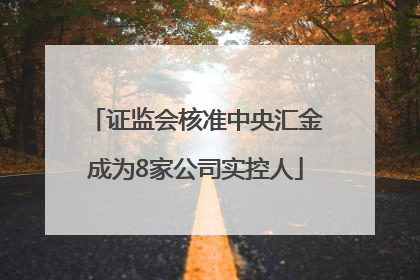 证监会核准中央汇金成为8家公司实控人