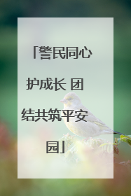 警民同心护成长 团结共筑平安园